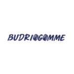 BudrioGomme_Marchio