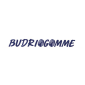 BudrioGomme_Marchio